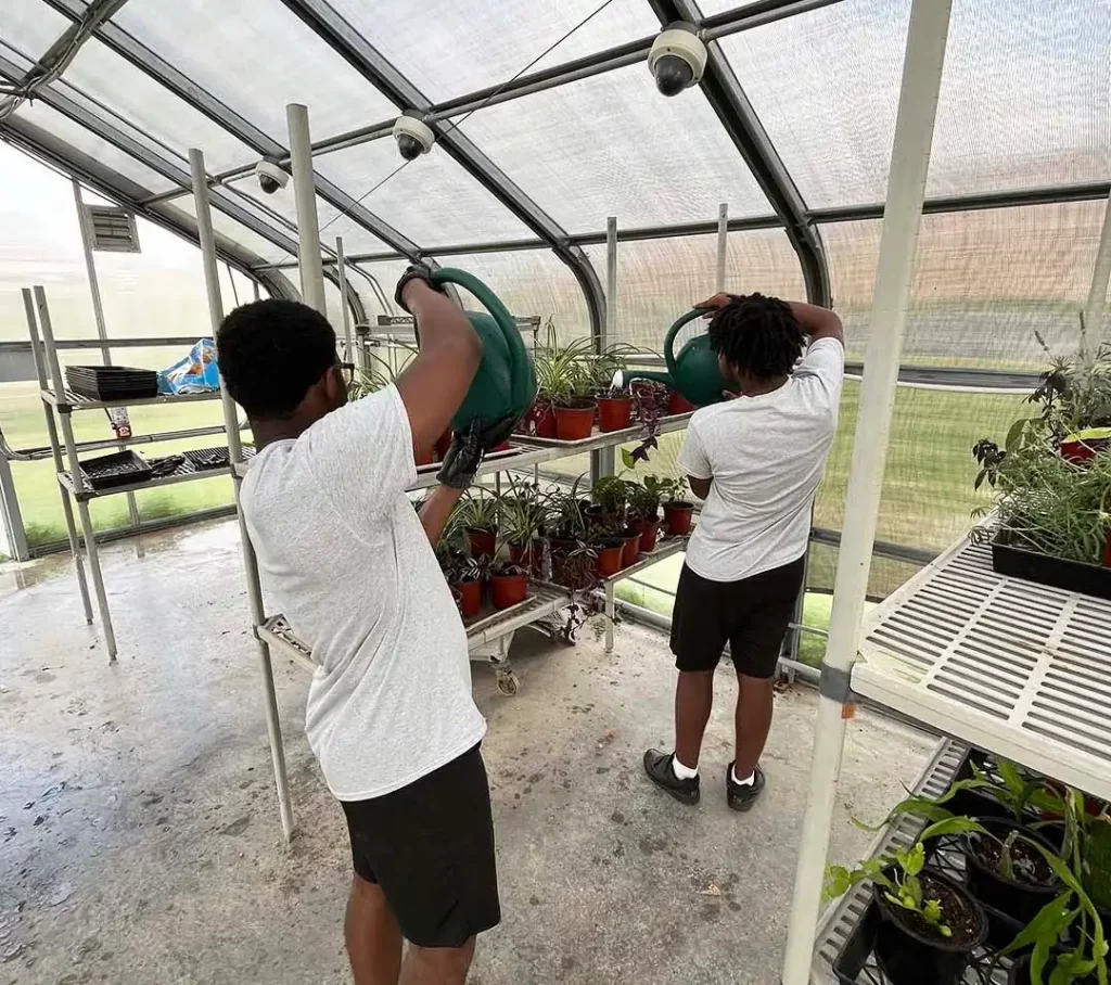 Two teenagers with watering cans in a greenhouse with surveillance cameras.