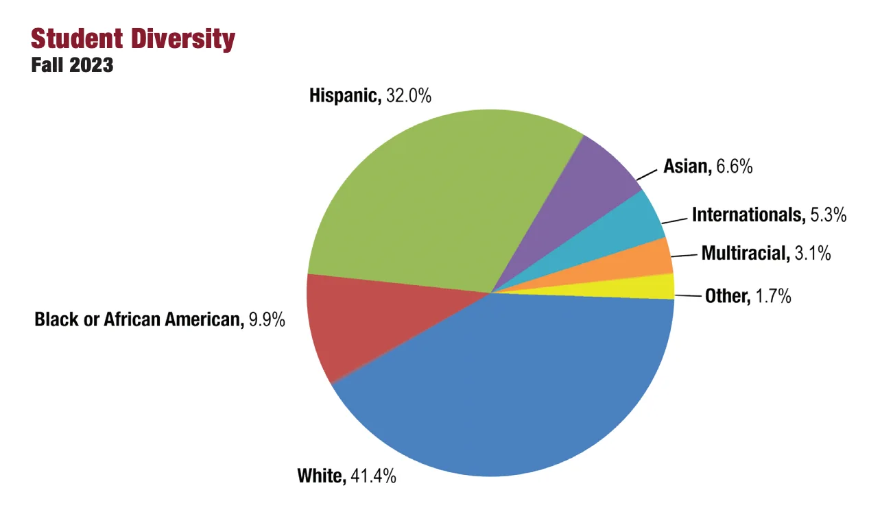 Pie chart showing diversity at Texas A&M