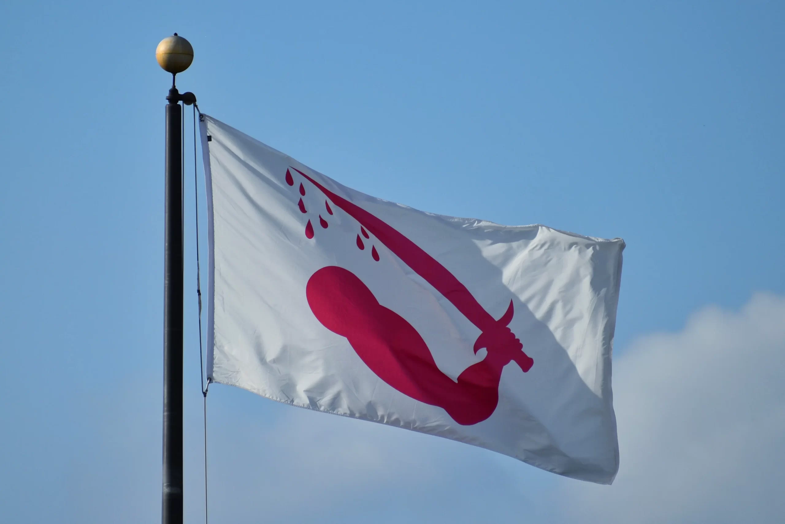 The Goliad Declaration of Independence: Text and History